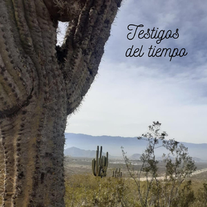 Testigos Del Tiempo