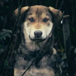 无所谓（prod.by.chillen）