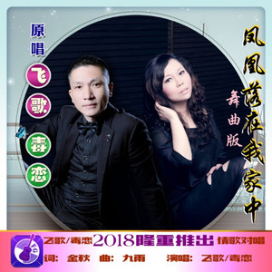 凤凰落在我家中（舞曲版）飞歌/毒恋