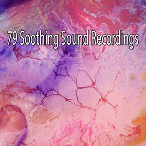 通过宁静寻找睡眠