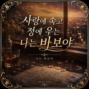 나는 바보야