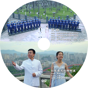 你是最亮的那颗星 (伴奏)