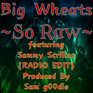 So Raw (feat. Sammy Scrillaa) (Radio Edit)