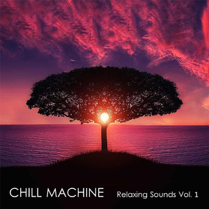 Relaxing Woodland Stream