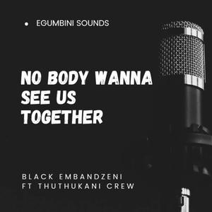 Nobody Wanna See us Together (feat. Thuthukani Crew)
