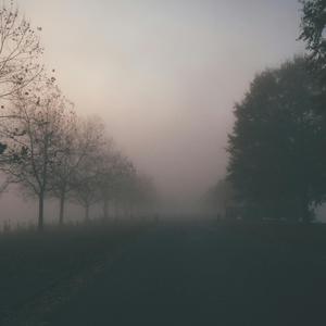 Muted Landscape