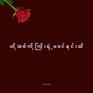 ဟိုအစ်ကိုကြီးရဲ့မခင်နှင်းဆီ
