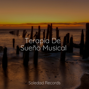 Río De La Luna Oscura