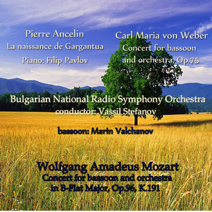 Concert for Bassoon and Orchestra, Op.75: 3. Rondo (Allegro)