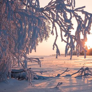 坚持到底的我们