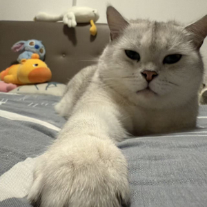 光阴滤镜下的真心