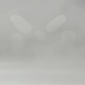 Aqquserngit Paarlaffianni