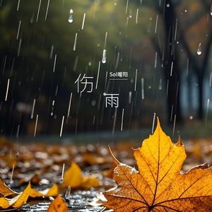 《伤雨》Sol暖阳