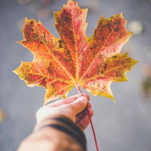 聆听《老师 假如我是你》插曲