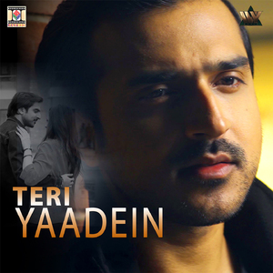 Teri Yaadein