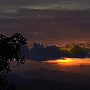 [FREE]“happy ending”