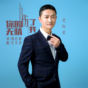 你的无情伤了我