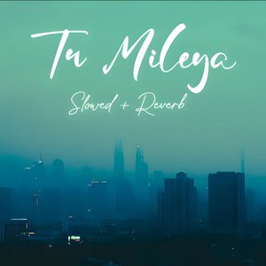 Tu Mileya (Slowed & Reverb)