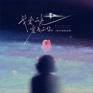 我爱的是爱我的你