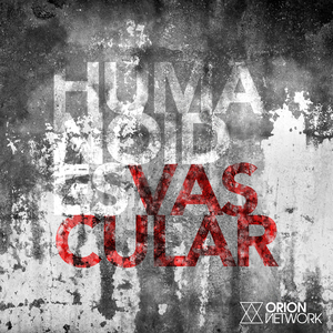 Vascular (Surgery Mix)