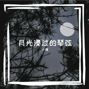 月光浸过创作氛围