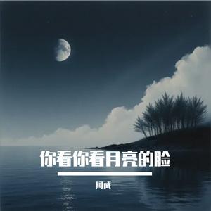 你看你看月亮的脸
