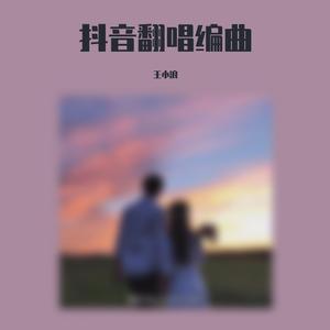 夏天的风 (抖音版)