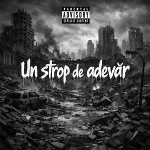 AVEM