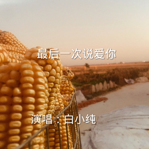 最后一次说爱你