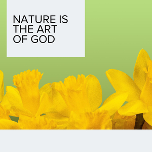 Havoc of Thunderstorms