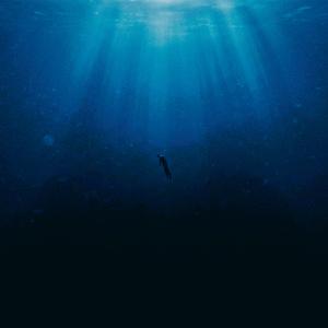 The Underwater Sonata