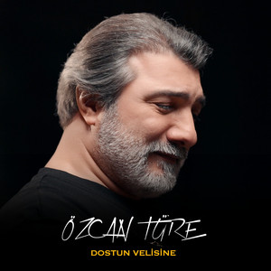 Dostun Velisine