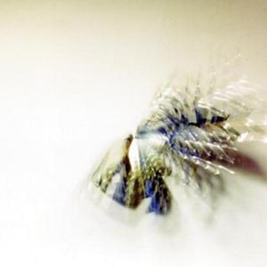 Metrolux Forever (2011 Remaster)