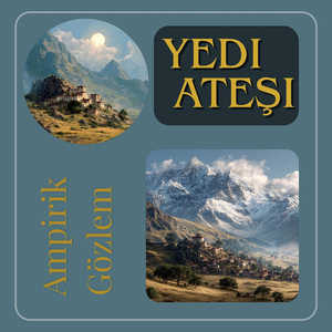 Ampirik Gözlem