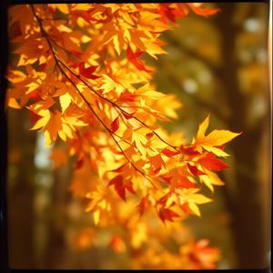 더 크게 웃는거야 by Addy’s Jazz Collection