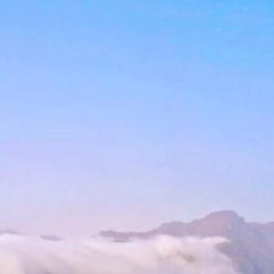 自在飘浮才美丽