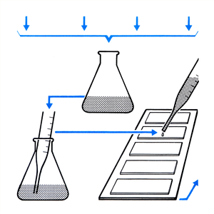 Ketazocine