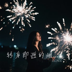 转身即逝的烟火