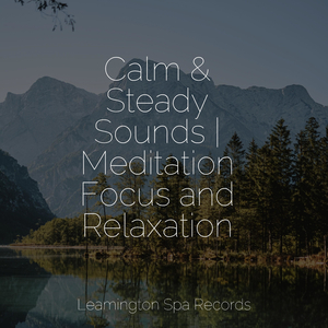 Tranquil Binaural Sounds