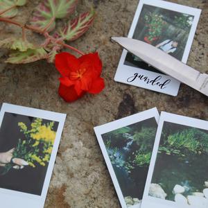 Ghosted (Bonus Track)