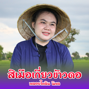 สิเมือเกี่ยวข้าวดอ