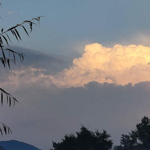 一个人难熬的时候总会想放弃