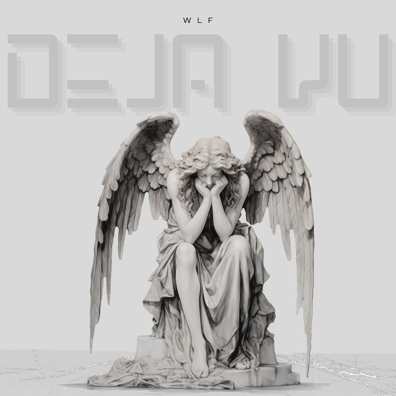 DejaVu封面