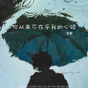 你从来不在乎我的心碎