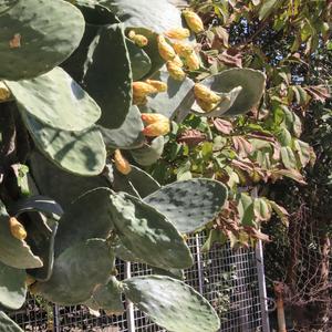 Doux fantômes (Radio Edit)