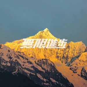 琴弦共赴