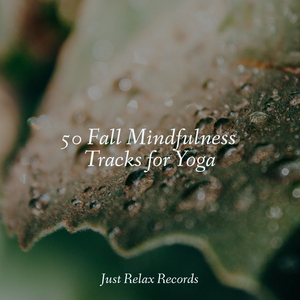 Enchanted Wing Dance