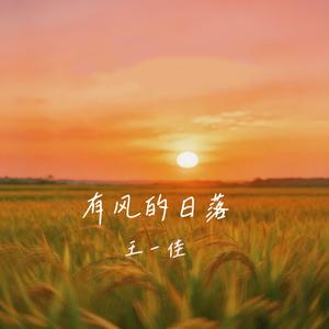 有风的日落(DJ阿鑫版)