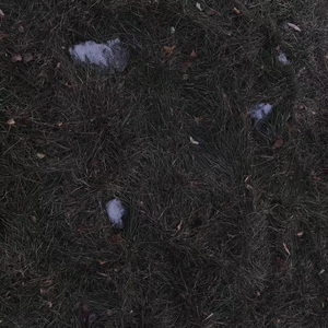 你守你的青瓜，我守着你