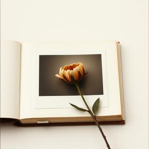 For fun (Remastered) by @setorcho